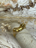 Rana
